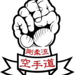 World Professional Martial Arts Organization