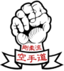 World Professional Martial Arts Organization